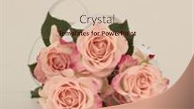  Presentation with pink silk - PPT theme consisting of pink-rose-flower-bouquet background and a lemonade colored foreground