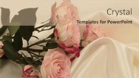  Presentation with pink silk - Presentation theme enhanced with pink-rose-flower-bouquet background and a  colored foreground