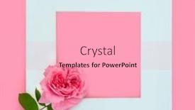  Presentation with floral mothers day - PPT theme with pink-rose-flower-valentines background and a lemonade colored foreground