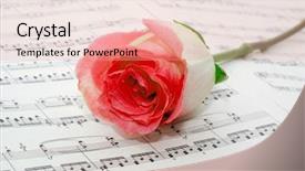  Presentation with turquoise sheet music - Amazing PPT theme having pink rose on a musical backdrop and a coral colored foreground
