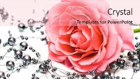  Presentation with pink rose - Amazing PPT theme having nvironment - pink rose with beads backdrop and a lemonade colored foreground