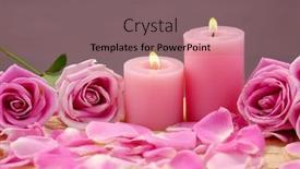  Presentation with pink rose petals - Presentation theme with pink rose with candle and petals on mat background and a violet colored foreground