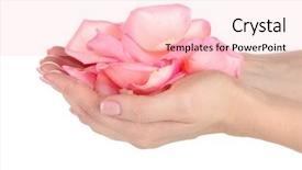 Presentation with pink rose - Audience pleasing PPT layouts consisting of pink rose with hands backdrop and a lemonade colored foreground