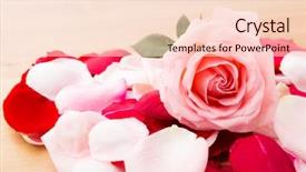  Presentation with rose petal corner frame - Colorful presentation enhanced with usa flag with dollar bills backdrop and a violet colored foreground