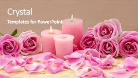  Presentation with pink rose petals - Amazing presentation theme having pink rose with three candle backdrop and a coral colored foreground