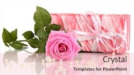  Presentation with pink rose petals on white - Cool new presentation with pink rose with wonderful gift backdrop and a lemonade colored foreground