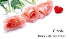  Presentation with pink roses - Cool new presentation with pink roses and red heart backdrop and a white colored foreground