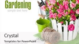  Presentation with garden tools - Audience pleasing PPT theme consisting of pink roses and tulips with garden tools isolated on white background backdrop and a white colored foreground
