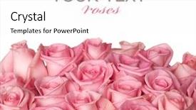  Presentation with border pink - Presentation theme featuring pink roses border background and a white colored foreground