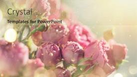  Presentation with flower wedding - Colorful slides enhanced with pink-roses-bouquet-blooming-roses backdrop and a soft green colored foreground