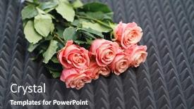  Presentation with acoustic - Beautiful slide set featuring pink-roses-bouquet-on-gray backdrop and a dark gray colored foreground