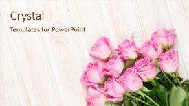  Presentation with pink roses - Cool new PPT theme with pink roses bouquet over wooden table top view with copy space backdrop and a cream colored foreground