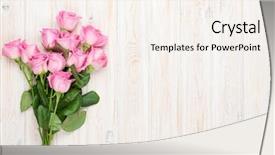  Presentation with pink roses - PPT theme consisting of pink roses bouquet over wooden background and a sky blue colored foreground