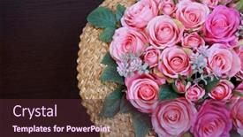  Presentation with pink wedding - Colorful slide set enhanced with pink-roses-eternal-roses-wedding backdrop and a tawny brown colored foreground