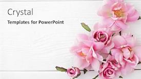  Presentation with frame pink - Slides enhanced with pink-roses-frame-background-copy background and a white colored foreground