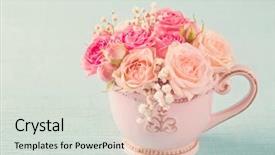  Presentation with pastel pink - Amazing slide set having pink roses in a teacup backdrop and a light gray colored foreground