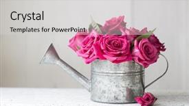  Presentation with flower vintage - Amazing presentation design having pink roses in a vintage backdrop and a light gray colored foreground
