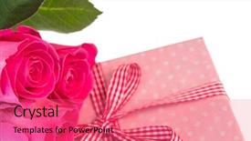  Presentation with pink roses - PPT theme consisting of pink roses leaning on pink background and a coral colored foreground