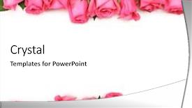  Presentation with border pink - Amazing PPT theme having pink roses lined up backdrop and a white colored foreground