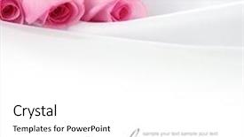  Presentation with pink rose - Beautiful theme featuring pink roses on a white backdrop and a white colored foreground
