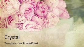  Presentation with pink roses - Audience pleasing slide set consisting of pink roses on vintage background backdrop and a lemonade colored foreground