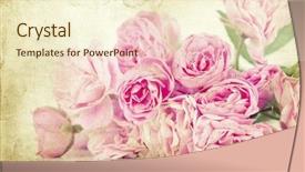  Presentation with pink roses - Amazing slide deck having pink roses on vintage background backdrop and a cream colored foreground