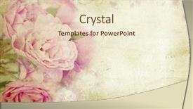  Presentation with pink roses - PPT theme consisting of pink roses on vintage background background and a lemonade colored foreground