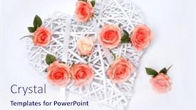  Presentation with pink roses - Slide set enhanced with pink-roses-on-white-rattan background and a sky blue colored foreground