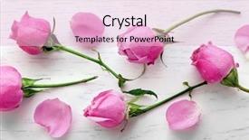  Presentation with pink roses - Theme featuring pink roses on wooden background background and a lemonade colored foreground