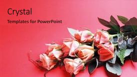  Presentation with pink roses - PPT layouts with pink roses background and a coral colored foreground
