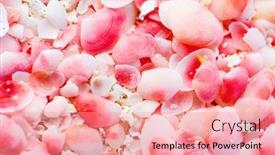  Presentation with shells - Presentation theme with pink-sand-beach-on-barbuda background and a coral colored foreground