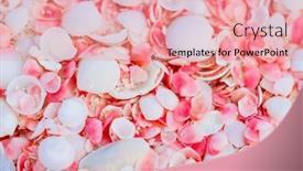  Presentation with pink - Presentation theme enhanced with pink-sand-beach-on-barbuda and a  colored foreground