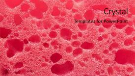  Presentation with marine - Beautiful presentation featuring pink sponges for bathing backdrop and a red colored foreground