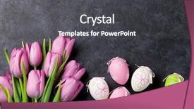  Presentation with pink flowers - Amazing PPT theme having pink tulip flowers and easter backdrop and a dark gray colored foreground