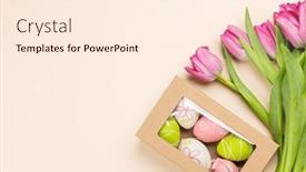  Presentation with tulip - PPT theme with pink-tulip-flowers-bouquet-gift background and a cream colored foreground