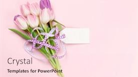  Presentation with tulip - Theme enhanced with pink-tulip-flowers-bouquet-over background and a lemonade colored foreground