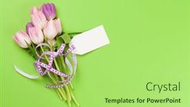  Presentation with pink green - Cool new presentation design with pink-tulip-flowers-bouquet-over backdrop and a mint green colored foreground