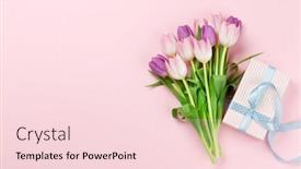  Presentation with pink flowers - PPT layouts consisting of pink-tulip-flowers-bouquet background and a lemonade colored foreground