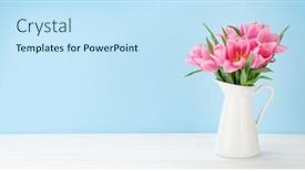  Presentation with blue tulip - Slide set enhanced with pink-tulip-flowers-bouquet background and a sky blue colored foreground