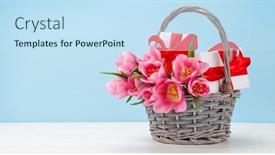  Presentation with blue tulip - Slide deck enhanced with pink-tulip-flowers-bouquet background and a sky blue colored foreground