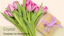  Presentation with tulip - Presentation theme consisting of pink-tulip-flowers-bouquet background and a yellow colored foreground
