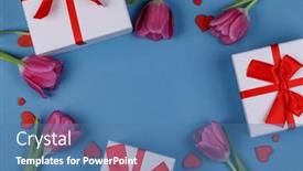  Presentation with blue tulip - Slide deck enhanced with pink-tulip-flowers-gifts-red background and a teal colored foreground