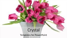  Presentation with flowers vase - Slide set enhanced with pink tulip flowers in an old pewter vase isolated over white background background and a white colored foreground