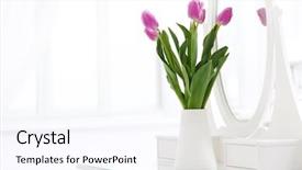  Presentation with pink and white roses country - Slide set featuring pink tulip in white room background and a sky blue colored foreground