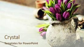  Presentation with garden tools - Audience pleasing slide set consisting of pink tulips bouquet easter eggs and garden tools on rustic background backdrop and a sky blue colored foreground