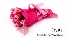  Presentation with hot pink white - Presentation consisting of pink tulips on white background background and a white colored foreground