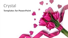  Presentation with pink ribbon - Colorful presentation design enhanced with pink tulips with ribbon and hearts isolated on white background valentines day concept backdrop and a white colored foreground