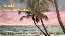  Presentation with tropical beach sunset - Presentation theme with grunge image of tropical beach at sunset background and a tawny brown colored foreground