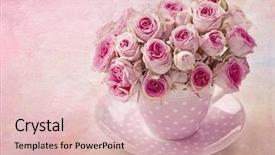  Presentation with pink rose - Amazing slides having pink vintage rose on pink backdrop and a lemonade colored foreground