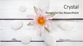  Presentation with water lily - Cool new slide deck with pebbles circle on rustic backdrop and a white colored foreground